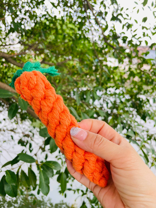 Handmade Sustainable Carrot Rope Chew Toy For little Pet