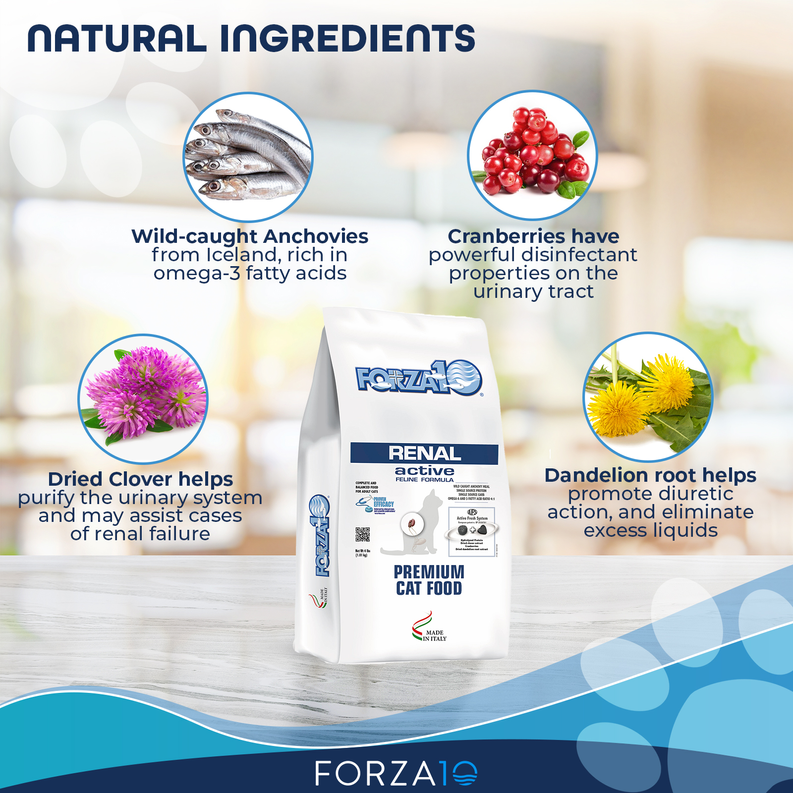 Forza10 Active Kidney Renal Support Diet Dry Cat Food