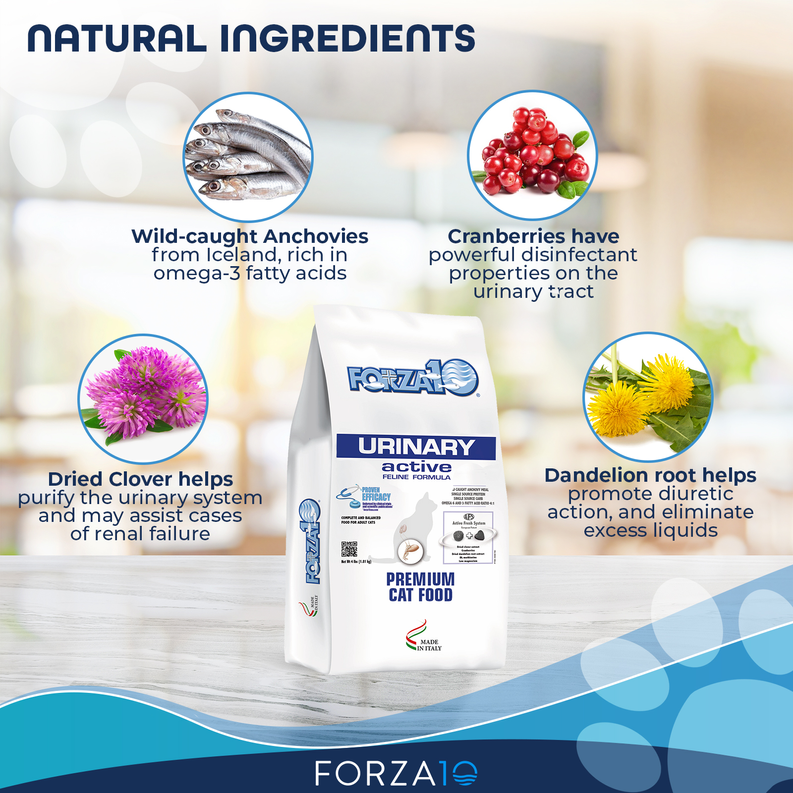 Forza10 Active Urinary Dry Cat Food
