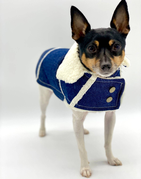 DCNY Ranch Coat