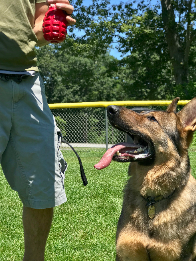 USA-K9 Grenade Durable Rubber Chew Toy, Treat Dispenser, Reward Toy, Tug Toy, and Retrieving Toy