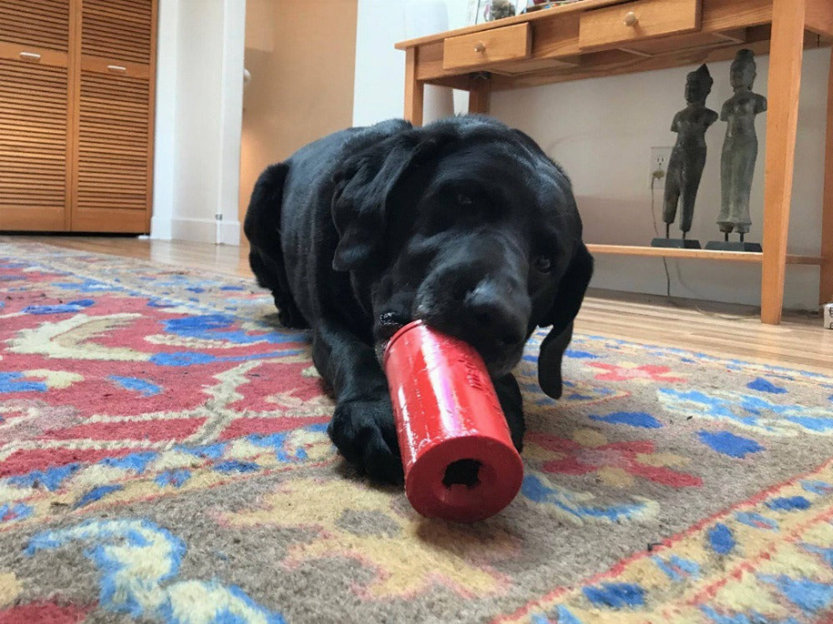 SP Retro Soda Can Durable Rubber Chew Toy and Treat Dispenser