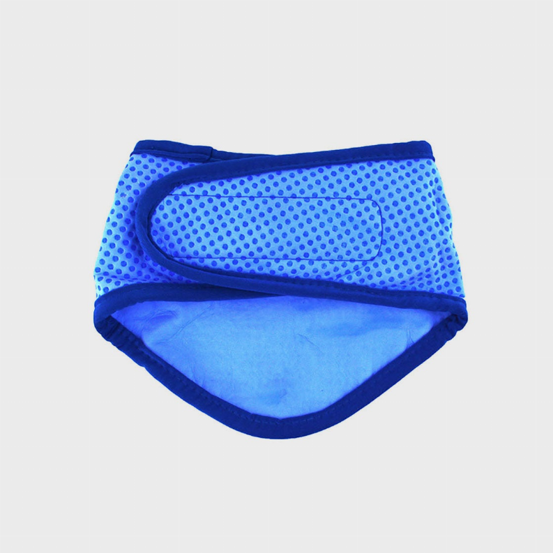 GF Pet Ice Band