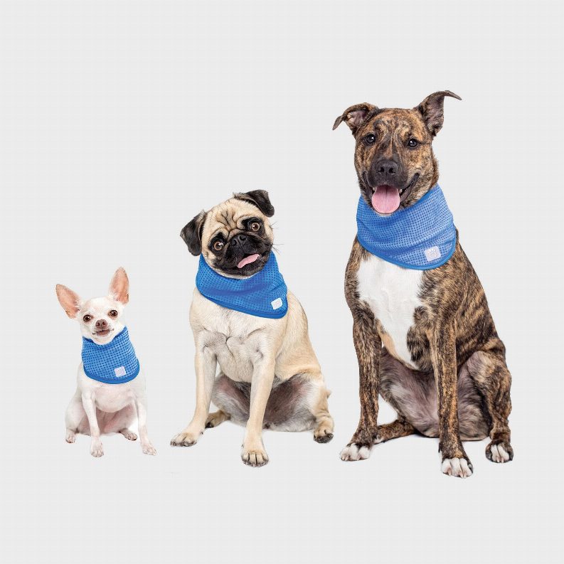 GF Pet Ice Band