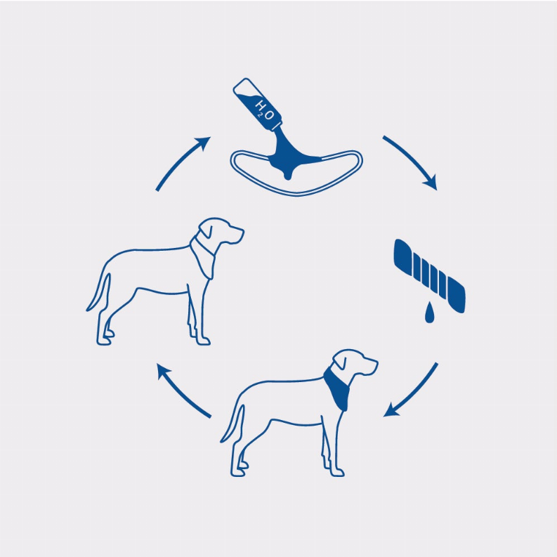 GF Pet Ice Band