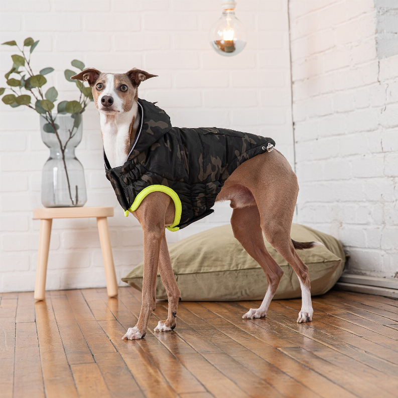 GF Pet Recycled Parka