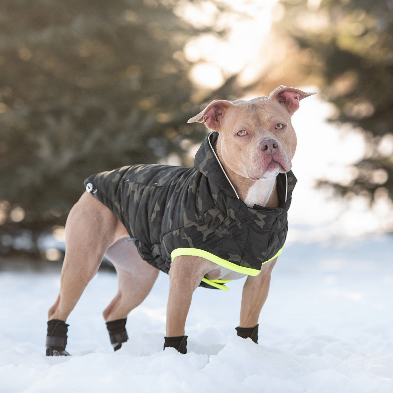 GF Pet Recycled Parka