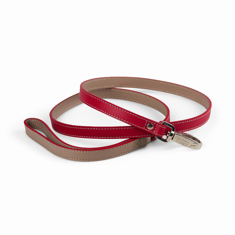 Beige Dog Lead