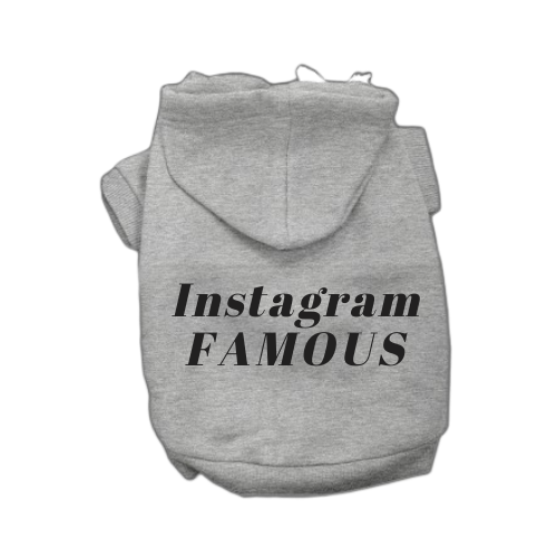 IG Famous Hoodie