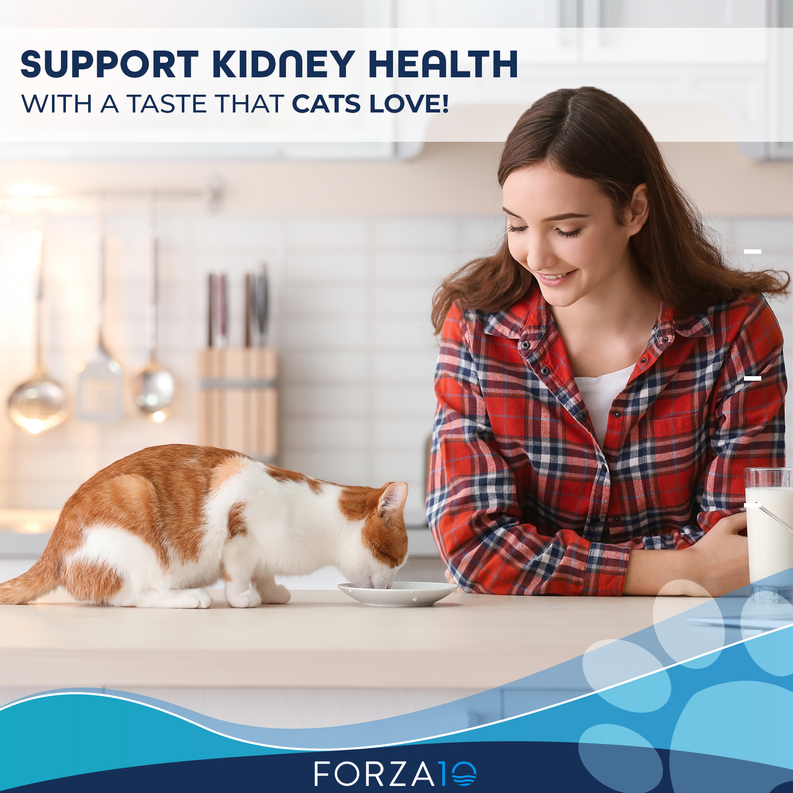 Forza10 Active Kidney Renal Support Diet Dry Cat Food