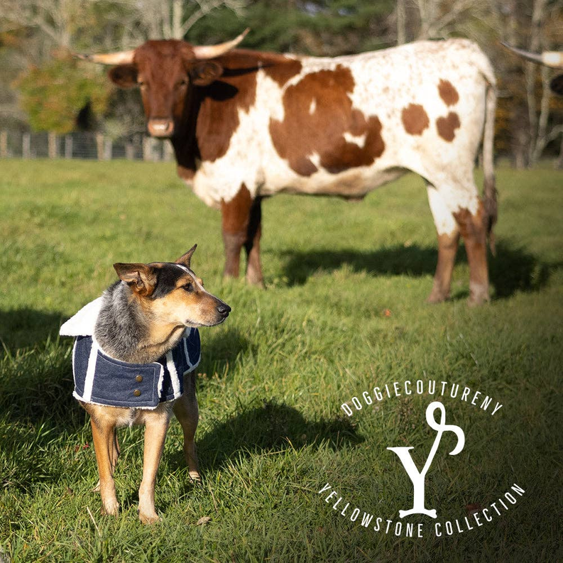 DCNY Ranch Coat