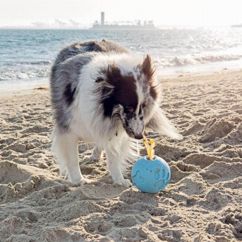 Paw Me! Treat Ball Dispenser