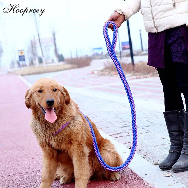 Heavy Duty Pet Dog Collar Leash Set Adjustable Obedience P Chain Collar Nylon Dog Leash Strap Lead Rope for Medium Large Dogs