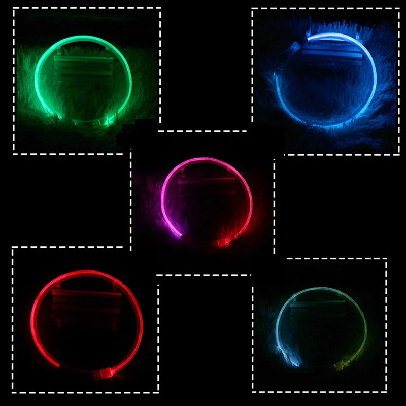 Led Light Dog Collar Detachable Glowing USB Charging Luminous Leash for Big Cat Collar Small Bright Labrador Pets Dogs Products