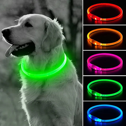 Led Light Dog Collar Detachable Glowing USB Charging Luminous Leash for Big Cat Collar Small Bright Labrador Pets Dogs Products