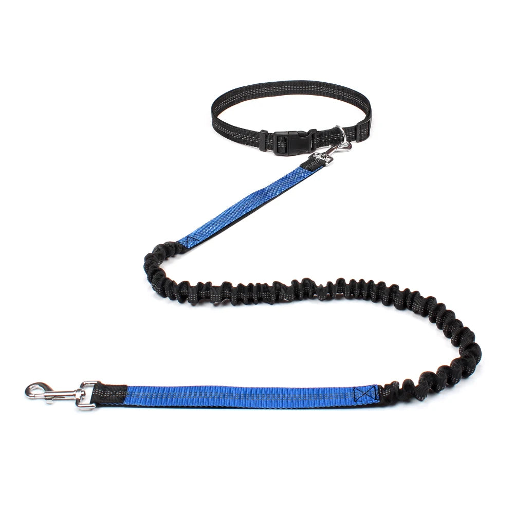 2023 New Reflective Leash Traction Rope Pet Dog Running Belt Elastic Hands Freely Jogging Pull Dog Leash Metal D-ring Leashes