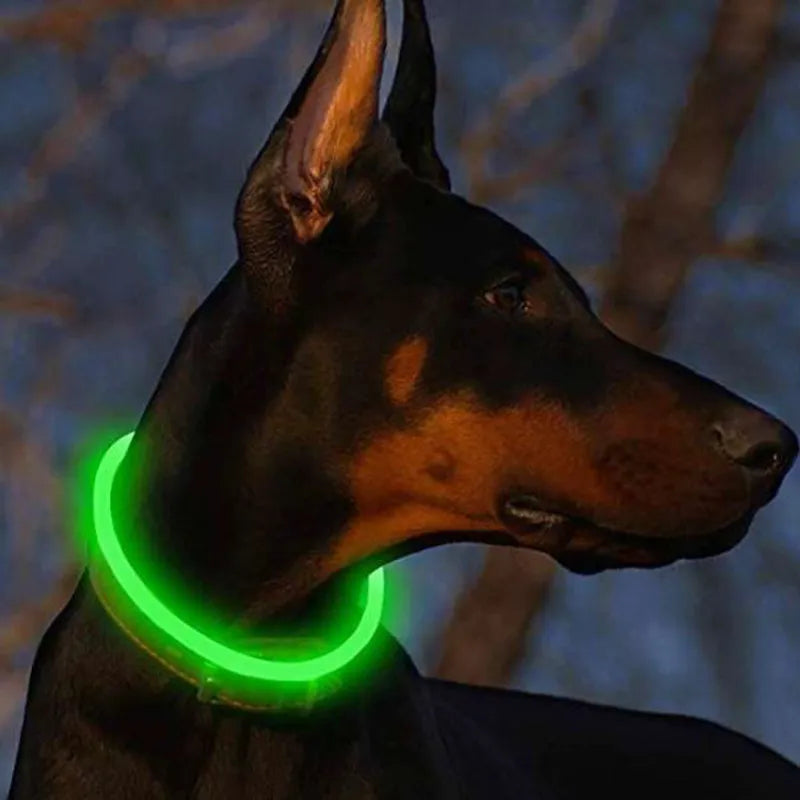 Led Light Dog Collar Detachable Glowing USB Charging Luminous Leash for Big Cat Collar Small Bright Labrador Pets Dogs Products