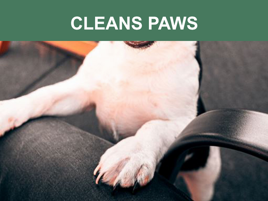 Mr. Peanut's Naturals Pet Wipes