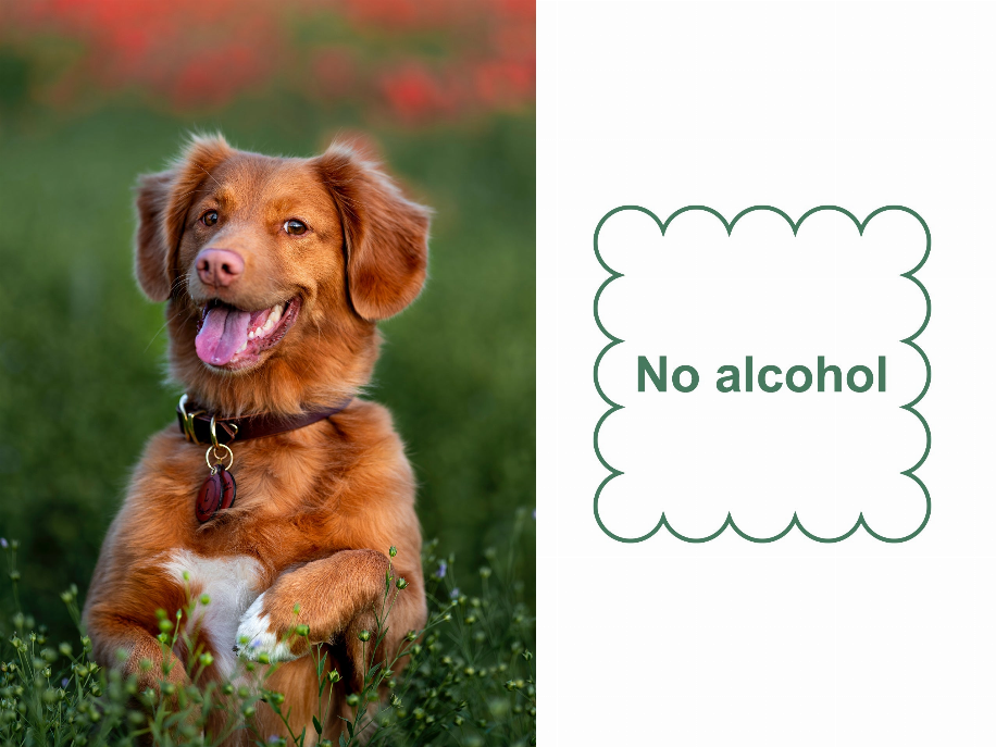 Mr. Peanut's Naturals Pet Wipes