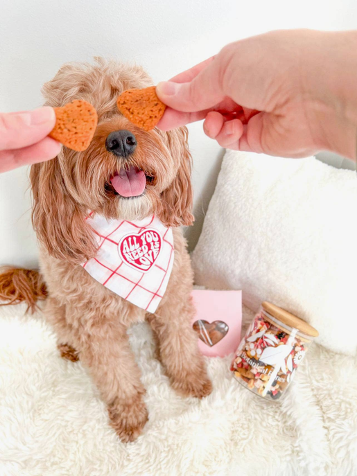 Heart(Beet) Boxes - Superfood Dog Treats