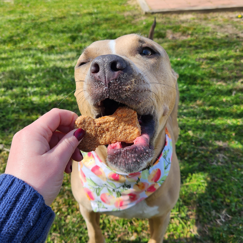 Cheddar Bones