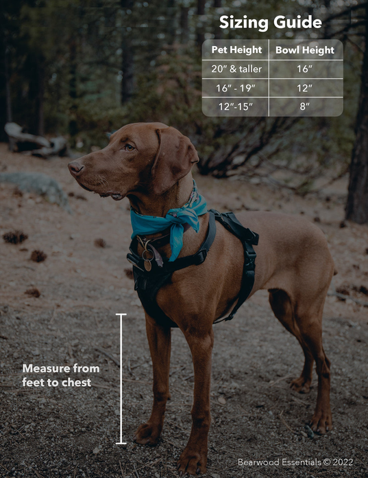 Metal dog bowl feeder