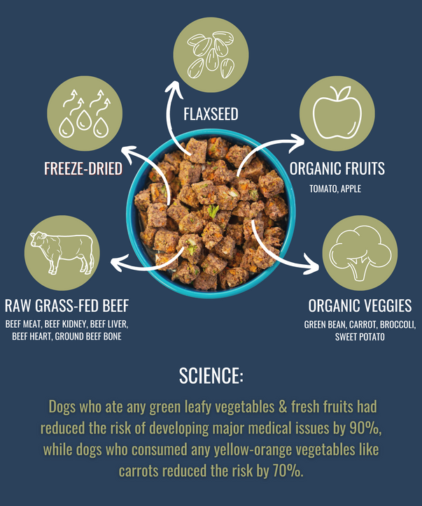 ALPHAPAK RAW FREEZE DRIED DOG FOOD 16 OZ