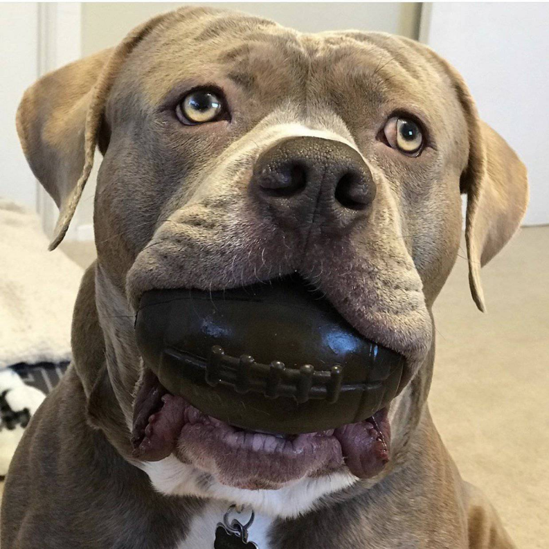 MKB Football Durable Rubber Chew Toy and Treat Dispenser