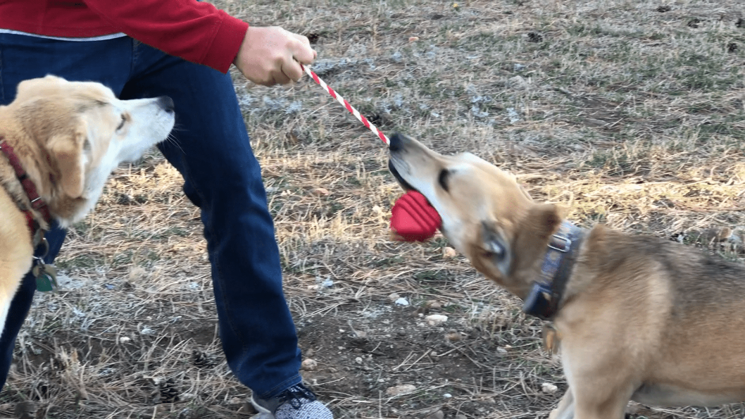 MKB Heart on a String Ultra-Durable Durable Rubber Chew Toy, Reward Toy, Tug Toy, and Retrieving Toy