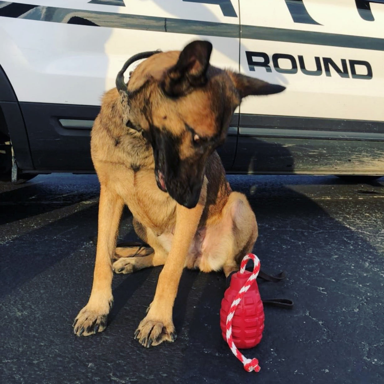 USA-K9 Grenade Durable Rubber Chew Toy, Treat Dispenser, Reward Toy, Tug Toy, and Retrieving Toy