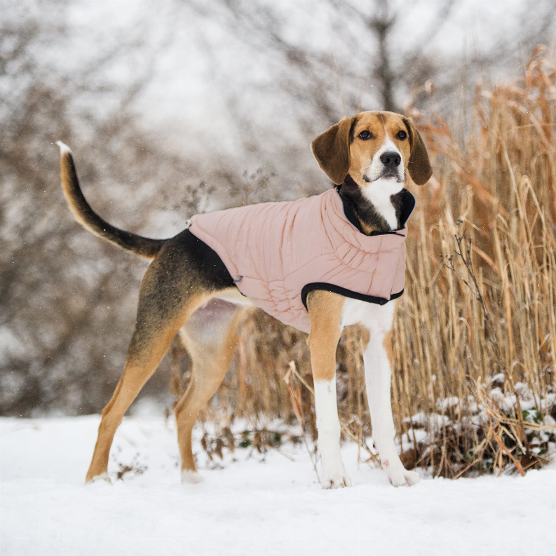 GF Pet Reversible Elasto-Fit Chalet Jacket