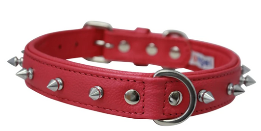 Rotterdam Bones Dog Collar by Angel 14" X 3/4" , Chocolate Brown